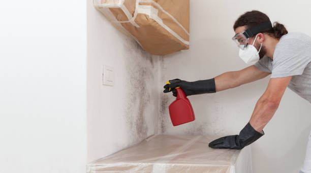 Professional Mold Testing technician working in Mineola, NY
